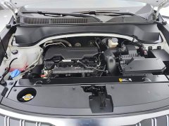 Lynk & Co Zhipao Ace 2.0L Challenge Edition - фото 10