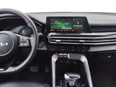 Lynk & Co Zhipao Ace 2.0L Challenge Edition - фото 13
