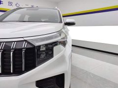 Lynk & Co Zhipao Ace 2.0L Challenge Edition - фото 5