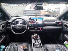 Geely Cowboy 1.5TD Fashion Edition - фото 5