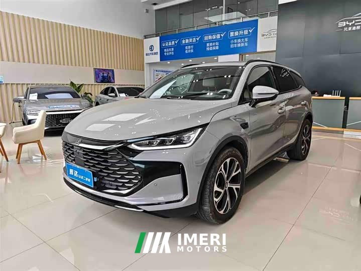 Lexus Tangxin Energy smart driving version DM-i 115KM flagship