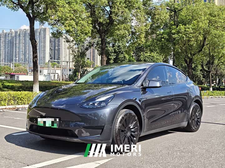 Tesla Model Y rear-wheel drive version - автомобиль из Китая