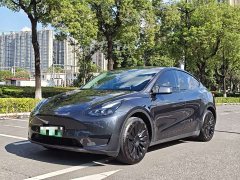 Tesla Model Y rear-wheel drive version - фото 1