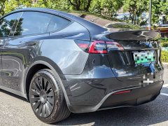 Tesla Model Y rear-wheel drive version - фото 12