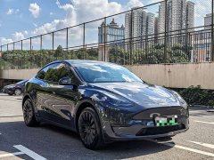 Tesla Model Y rear-wheel drive version - фото 3