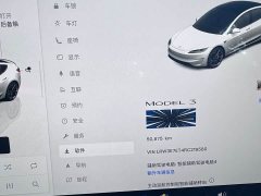 Tesla Model 3 Performance All-Wheel Drive - фото 13