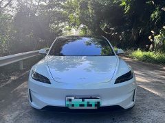Tesla Model 3 Performance All-Wheel Drive - фото 2