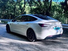 Tesla Model 3 Performance All-Wheel Drive - фото 4