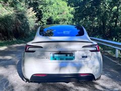 Tesla Model 3 Performance All-Wheel Drive - фото 5