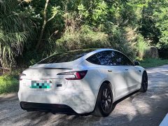 Tesla Model 3 Performance All-Wheel Drive - фото 6