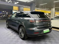 Lynk & Co Leapmoon C11 Extended Range 180 Comfort Edition - фото 4