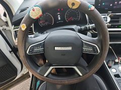 Haval H6 2021 Guochao Edition 1.5T Automatic Urban Edition - фото 6