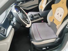 BYD Qin PLUS 2021 DM-i 55KM flagship - фото 11