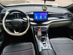 BYD Qin PLUS 2021 DM-i 55KM flagship - фото 5