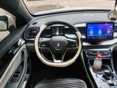 BYD Qin PLUS 2021 DM-i 55KM flagship - фото 6