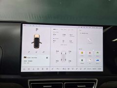Li Auto Ideal L9 Max - фото 8