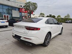 Tesla Xingrui facelift 2.0TD premium - фото 5