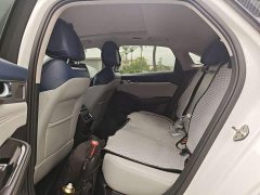 Tesla Xingrui facelift 2.0TD premium - фото 7
