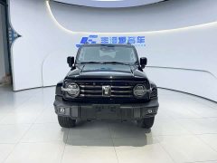 Tank 300 City Edition 2.0T Very Stylish - фото 2