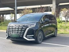 Denza D9 DM-i 980 four-wheel drive premium - фото 1