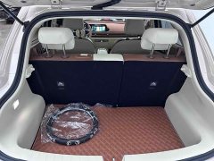Lexus Euler Good Cat 401km standard battery life luxury lithium iron phosphate - фото 11