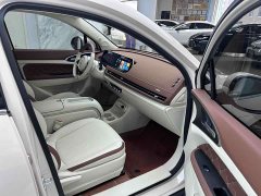 Lexus Euler Good Cat 401km standard battery life luxury lithium iron phosphate - фото 12