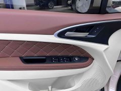 Lexus Euler Good Cat 401km standard battery life luxury lithium iron phosphate - фото 14