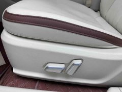 Lexus Euler Good Cat 401km standard battery life luxury lithium iron phosphate - фото 16