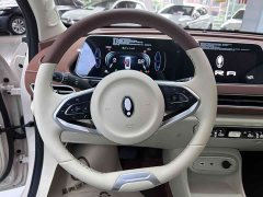 Lexus Euler Good Cat 401km standard battery life luxury lithium iron phosphate - фото 18
