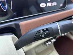 Lexus Euler Good Cat 401km standard battery life luxury lithium iron phosphate - фото 19
