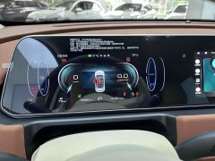 Lexus Euler Good Cat 401km standard battery life luxury lithium iron phosphate - фото 20
