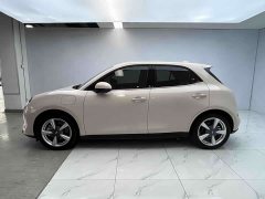 Lexus Euler Good Cat 401km standard battery life luxury lithium iron phosphate - фото 5