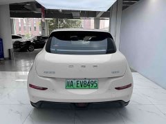 Lexus Euler Good Cat 401km standard battery life luxury lithium iron phosphate - фото 6