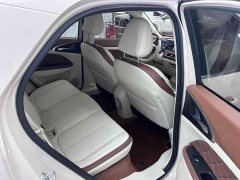 Lexus Euler Good Cat 401km standard battery life luxury lithium iron phosphate - фото 8