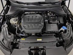 Volkswagen Magotan 2024 380TSI DSG Premium Edition Damai Bag - фото 6