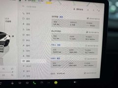 Tesla Model 3 rear-wheel drive version - фото 15