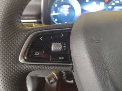 Hongqi HS5 2023 2.0T Qixiang Pro 500,000 Units Commemorative Edition - фото 15