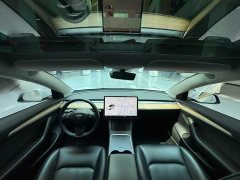 Tesla Model 3 2021 standard range rear drive upgraded version 3D6 - фото 14