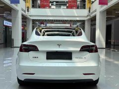 Tesla Model 3 2021 standard range rear drive upgraded version 3D6 - фото 6