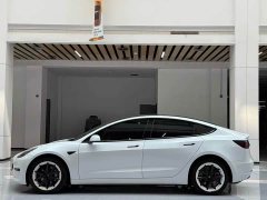 Tesla Model 3 2021 standard range rear drive upgraded version 3D6 - фото 8