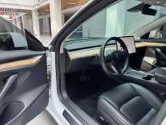 Tesla Model 3 2021 standard range rear drive upgraded version 3D6 - фото 9
