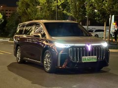 Voyah Lantu Dreamer 2022 Low-Carbon Edition Xiang Intelligent Driving Package - фото 3