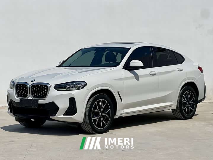 BMW X4 xDrive25i M Sport Package - автомобиль из Китая