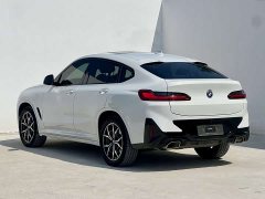 BMW X4 xDrive25i M Sport Package - фото 3