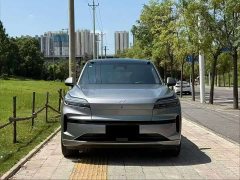 BMW Ledo L90 Max six-seater version - фото 2