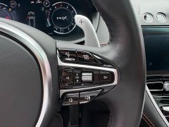 Aston Martin DBX 2020 4.0T V8 - фото 11