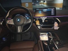 BMW 5 Series New Energy 2 535Le Pioneer Edition M Sports Package - фото 10