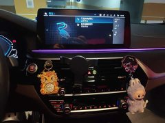 BMW 5 Series New Energy 2 535Le Pioneer Edition M Sports Package - фото 14