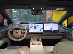 Li Auto Ideal i6 2025 two-wheel drive standard version - фото 12