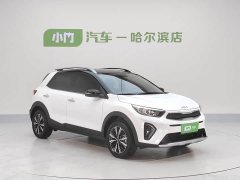 Tesla Yipao 2021 1.4L CVT sunroof - фото 3